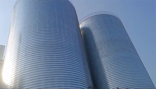 东城街道2座混凝土高架卷板仓